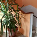 Roma Hotel Gattico