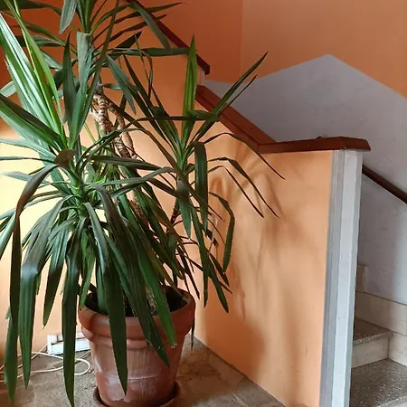 Roma Hotel Gattico
